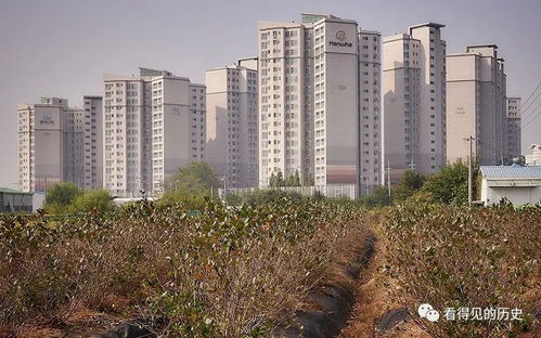 韓國(guó)漢城的房地產(chǎn)開發(fā) 如同地里莊稼一樣瘋長(zhǎng)的房子
